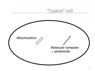 Mitochondrion Molecular computer + peripherals “ Typical” cell 
