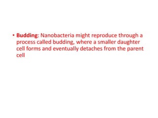 • Budding: Nanobacteria might reproduce through a
process called budding, where a smaller daughter
cell forms and eventually detaches from the parent
cell
 