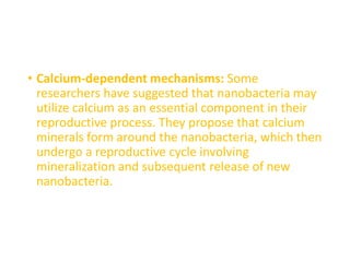 • Calcium-dependent mechanisms: Some
researchers have suggested that nanobacteria may
utilize calcium as an essential component in their
reproductive process. They propose that calcium
minerals form around the nanobacteria, which then
undergo a reproductive cycle involving
mineralization and subsequent release of new
nanobacteria.
 