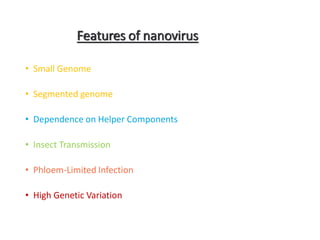 Features of nanovirus
• Small Genome
• Segmented genome
• Dependence on Helper Components
• Insect Transmission
• Phloem-Limited Infection
• High Genetic Variation
 