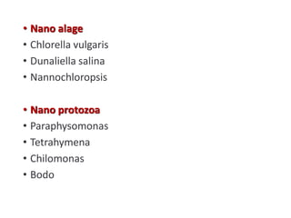• Nano alage
• Chlorella vulgaris
• Dunaliella salina
• Nannochloropsis
• Nano protozoa
• Paraphysomonas
• Tetrahymena
• Chilomonas
• Bodo
 