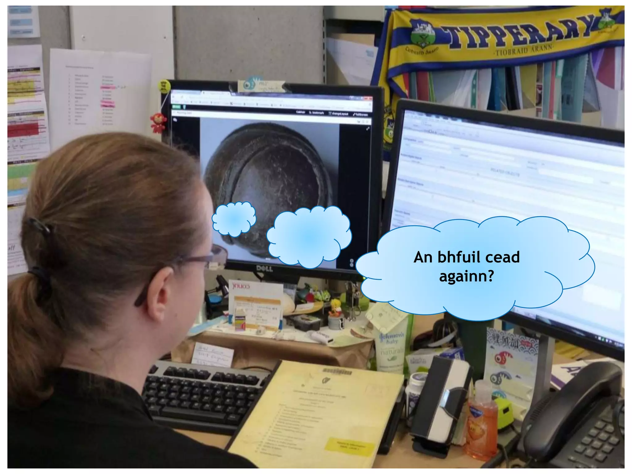 An bhfuil cead
againn?
 