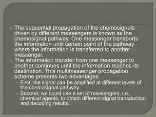  The sequential propagation of the chemosignals
driven by different messengers is known as the
chemosignal pathway. One messenger transports
the information until certain point of the pathway
where the information is transferred to another
messenger.
 The information transfer from one messenger to
another continues until the information reaches its
destination. This multimessenger propagation
scheme presents two advantages.
• First, the signal can be amplified at different levels of
the chemosignal pathway
• Second, we could use a set of messengers, i.e.,
chemical agents, to obtain different signal transduction
and decoding results.
 