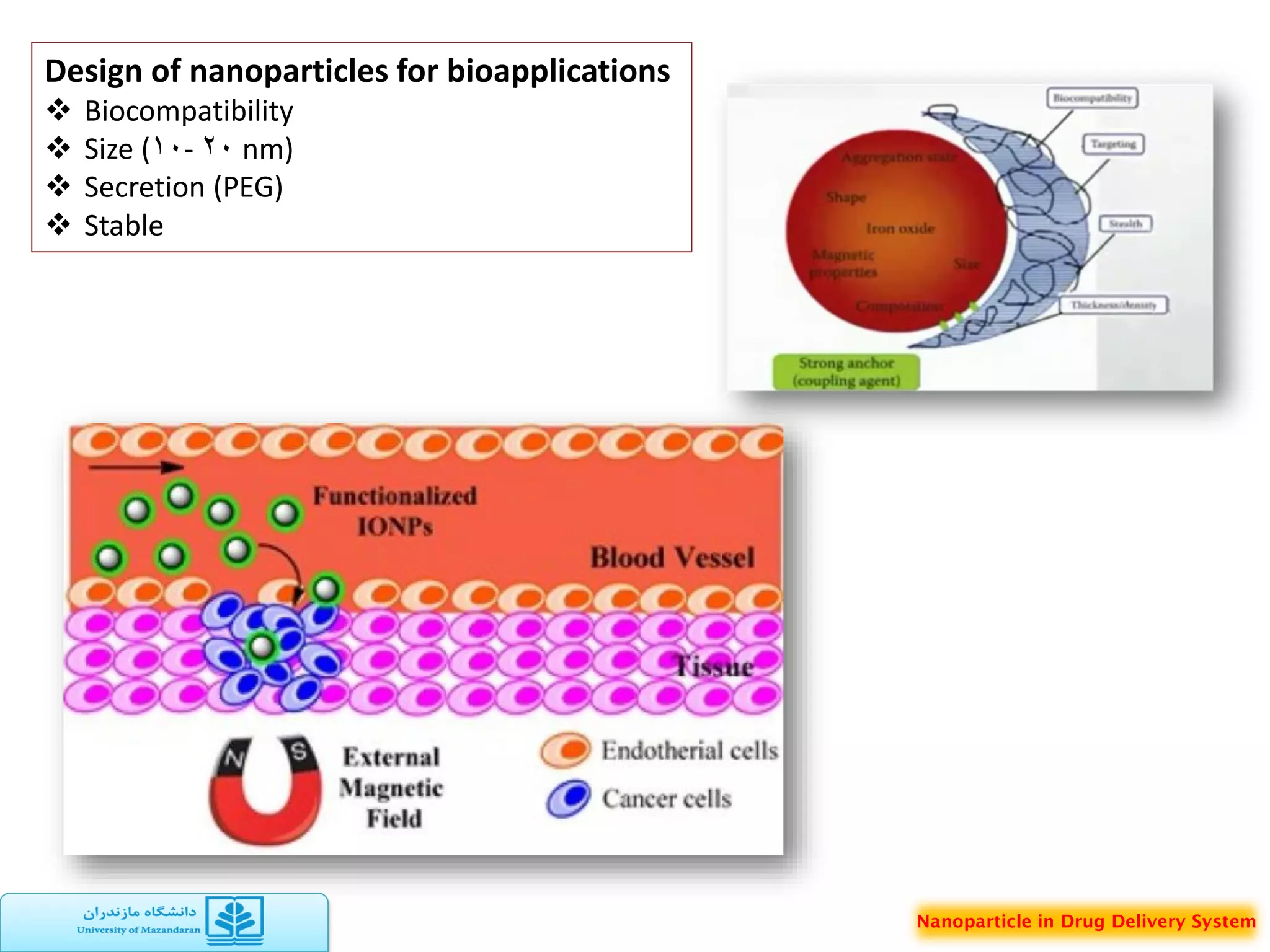 Nanoparticle in drug delivery system | PDF