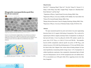 Nanoparticle in drug delivery system | PDF
