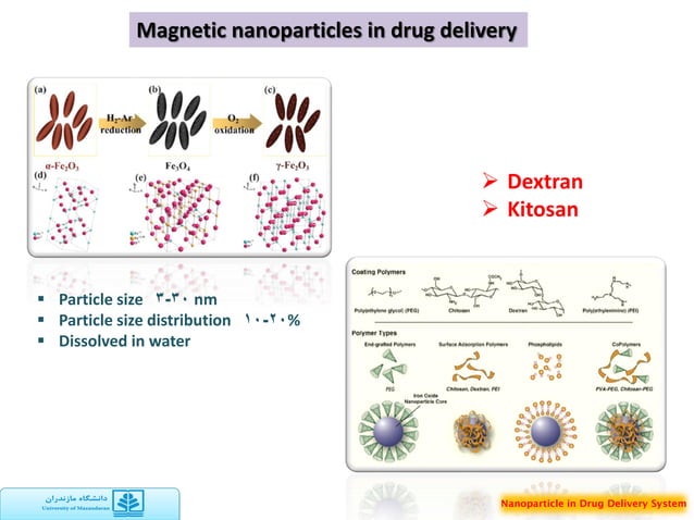 Nanoparticle in drug delivery system | PDF | Chemistry | Science