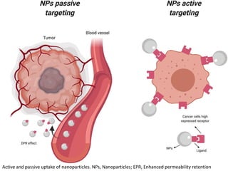 Active and passive uptake of nanoparticles. NPs, Nanoparticles; EPR, Enhanced permeability retention
 