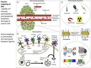 Passive
targeting of
NPs
→(EPR)→↑
vascular
permeability
and weakened
lymphatic
drainage of
cancer cells
Active targeting
is achieved by
the interaction
between ligands
 