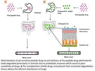 Administration of pH sensitive peptide drug via oral delivery. a The peptide drug administered
orally degraded particularly in stomach due to proteolytic enzymes which result in poor
availability of drugs. b The nanoparticles shields drugs and prevent from enzymatic degradation.
Hence attains the efficient distribution of drugs
 