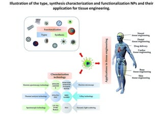 Illustration of the type, synthesis characterization and functionalization NPs and their
application for tissue engineering.
 