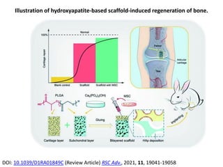 Illustration of hydroxyapatite-based scaffold-induced regeneration of bone.
DOI: 10.1039/D1RA01849C (Review Article) RSC Adv., 2021, 11, 19041-19058
 