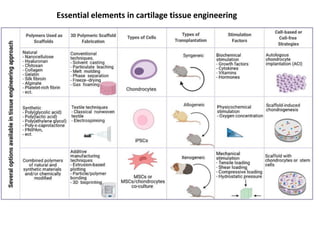 Essential elements in cartilage tissue engineering
 