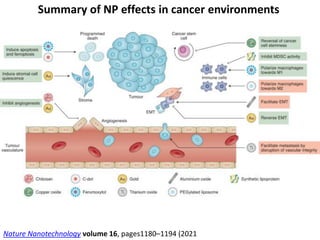 Summary of NP effects in cancer environments
Nature Nanotechnology volume 16, pages1180–1194 (2021
 