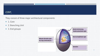 CONT,
They consist of three major architectural components:
 1. Core
 2. Branching Unit
 3. End groups
63
 