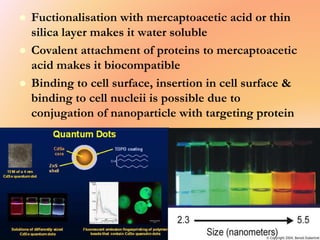  Fuctionalisation with mercaptoacetic acid or thin
silica layer makes it water soluble
 Covalent attachment of proteins to mercaptoacetic
acid makes it biocompatible
 Binding to cell surface, insertion in cell surface &
binding to cell nucleii is possible due to
conjugation of nanoparticle with targeting protein
 