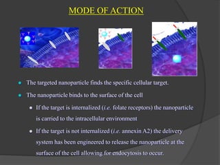 MODE OF ACTION
 The targeted nanoparticle finds the specific cellular target.
 The nanoparticle binds to the surface of the cell
 If the target is internalized (i.e. folate receptors) the nanoparticle
is carried to the intracellular environment
 If the target is not internalized (i.e. annexin A2) the delivery
system has been engineered to release the nanoparticle at the
surface of the cell allowing for endocytosis to occur.
 