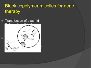 Block copolymer micelles for gene
therapy
 Transfection of plasmid
DNA using diblock
copolymer.
 DNA is released inside
the cytosol and appears
in the nucleus to express
a desired protein.
 