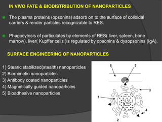 IN VIVO FATE & BIODISTRIBUTION OF NANOPARTICLES
 The plasma proteins (opsonins) adsorb on to the surface of colloidal
carriers & render particles recognizable to RES.
 Phagocytosis of particulates by elements of RES( liver, spleen, bone
marrow), liver( Kupffer cells )is regulated by opsonins & dysopsonins (IgA).
SURFACE ENGINEERING OF NANOPARTICLES
1) Stearic stabilized(stealth) nanoparticles
2) Biomimetic nanoparticles
3) Antibody coated nanoparticles
4) Magnetically guided nanoparticles
5) Bioadhesive nanoparticles
 