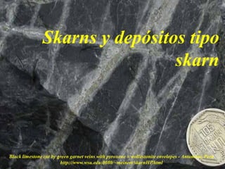 Skarns y depósitos tipo
skarn
Black limestone cut by green garnet veins with pyroxene ± wollastonite envelopes - Antamina, Peru
http://www.wsu.edu:8080/~meinert/skarnHP.html
 