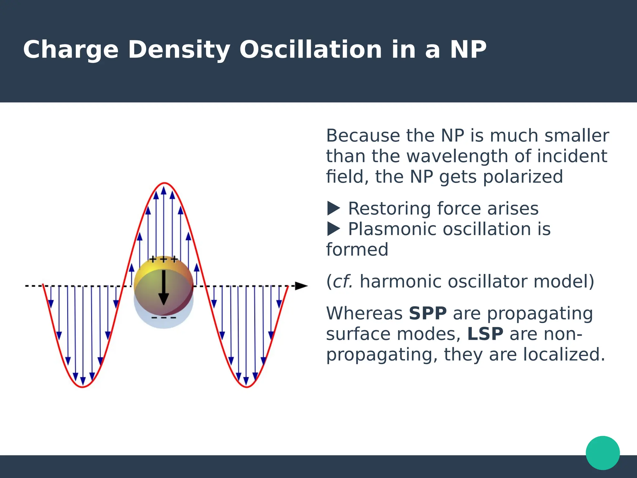 Charge Density Oscillation in a NP
Because the NP is much smaller
than the wavelength of incident
field, the NP gets polarized
▶ Restoring force arises
▶ Plasmonic oscillation is
formed
(cf. harmonic oscillator model)
Whereas SPP are propagating
surface modes, LSP are non-
propagating, they are localized.
 