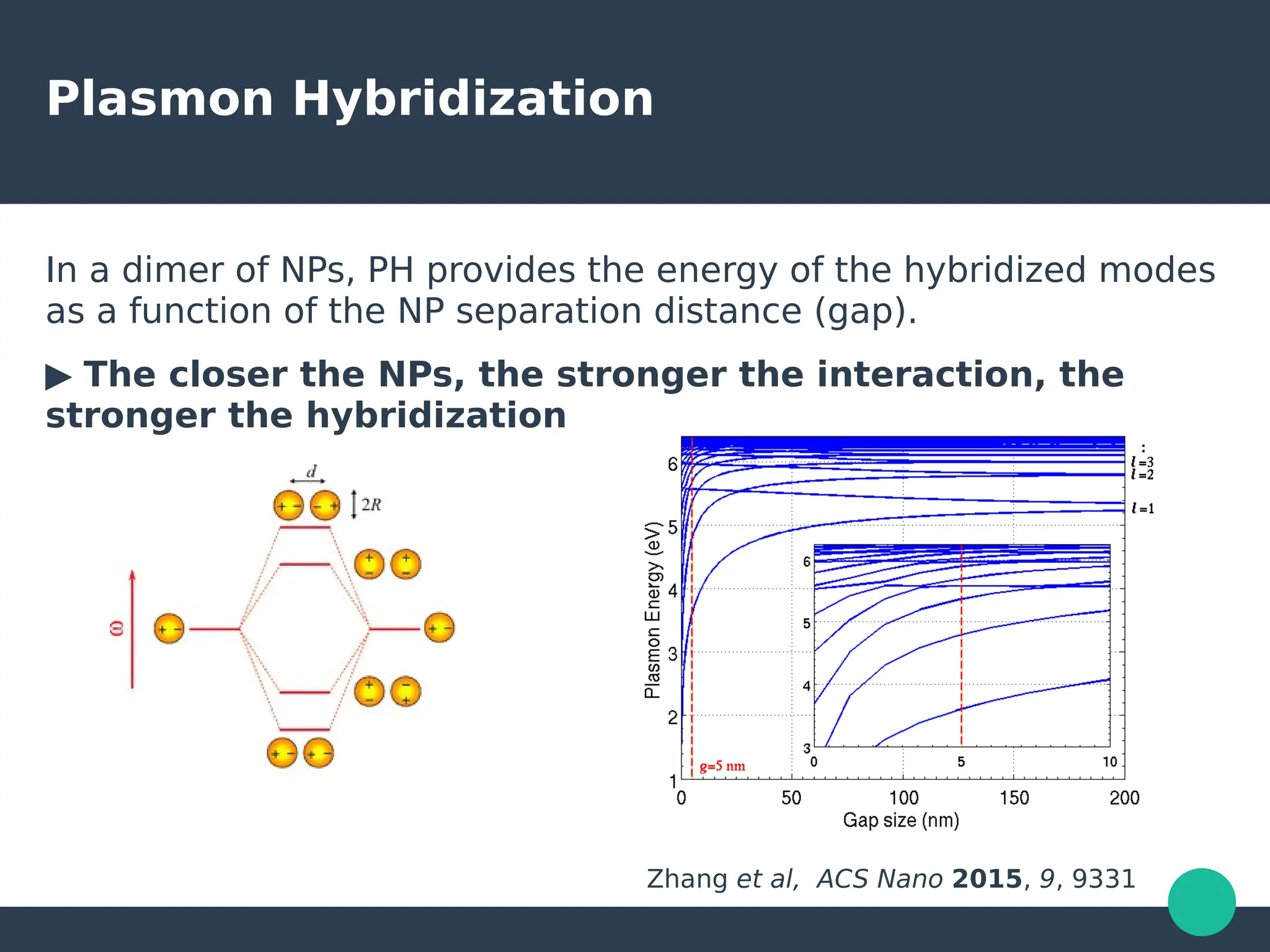 Plasmon Hybridization
In a dimer of NPs, PH provides the energy of the hybridized modes
as a function of the NP separation distance (gap).
▶ The closer the NPs, the stronger the interaction, the
stronger the hybridization
Zhang et al, ACS Nano 2015, 9, 9331
 