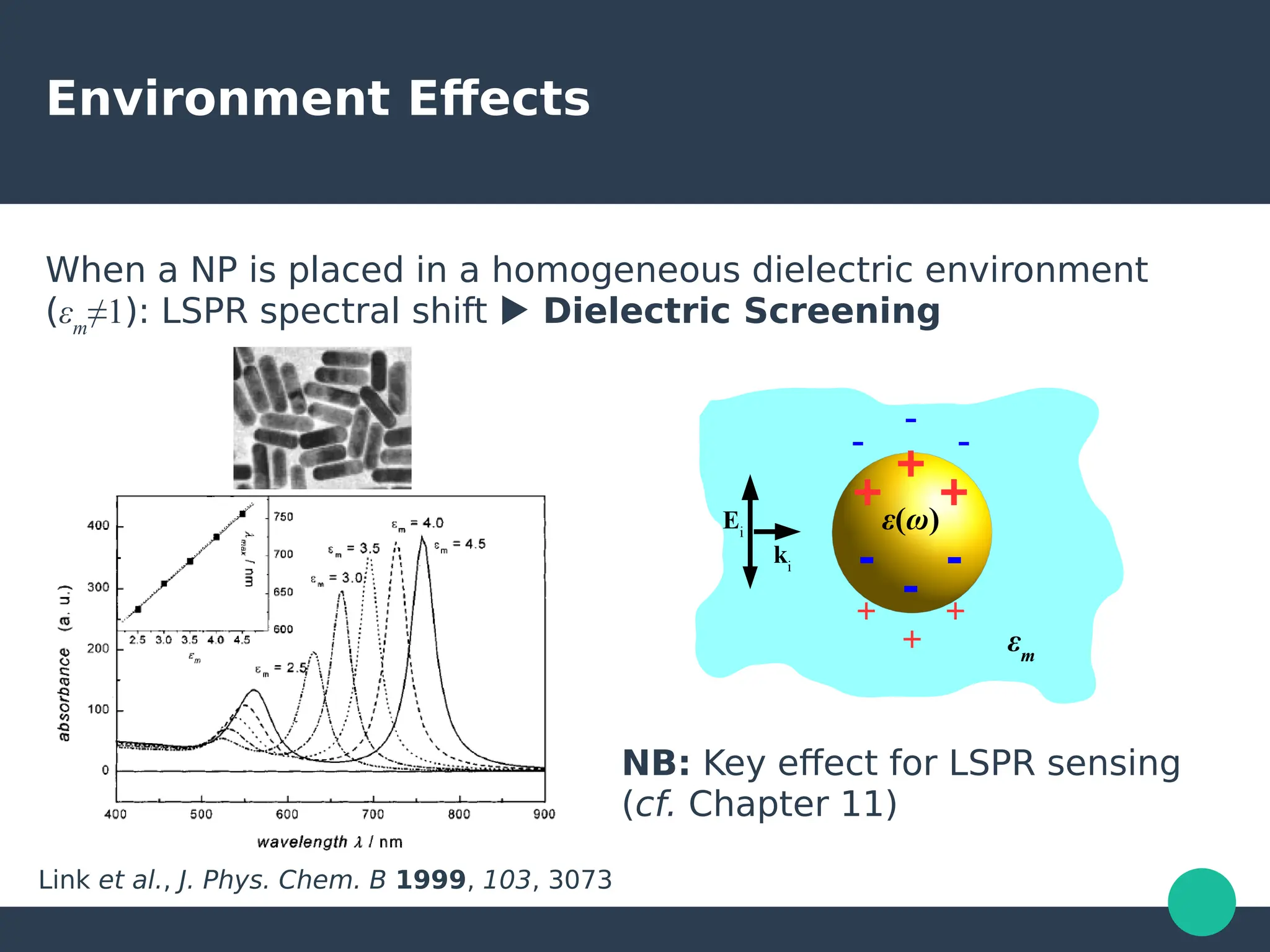 Environment Effects
When a NP is placed in a homogeneous dielectric environment
(εm
≠1): LSPR spectral shift ▶ Dielectric Screening
NB: Key effect for LSPR sensing
(cf. Chapter 11)
Link et al., J. Phys. Chem. B 1999, 103, 3073
+
+ +
ε(ω)
‑ ‑
‑
‑
‑ ‑
+ +
+ εm
Ei
ki
 