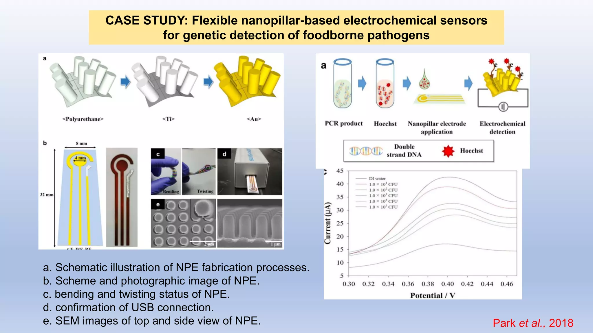 CASE STUDY: Flexible nanopillar-based electrochemical sensors
for genetic detection of foodborne pathogens
a. Schematic illustration of NPE fabrication processes.
b. Scheme and photographic image of NPE.
c. bending and twisting status of NPE.
d. confirmation of USB connection.
e. SEM images of top and side view of NPE. Park et al., 2018
 
