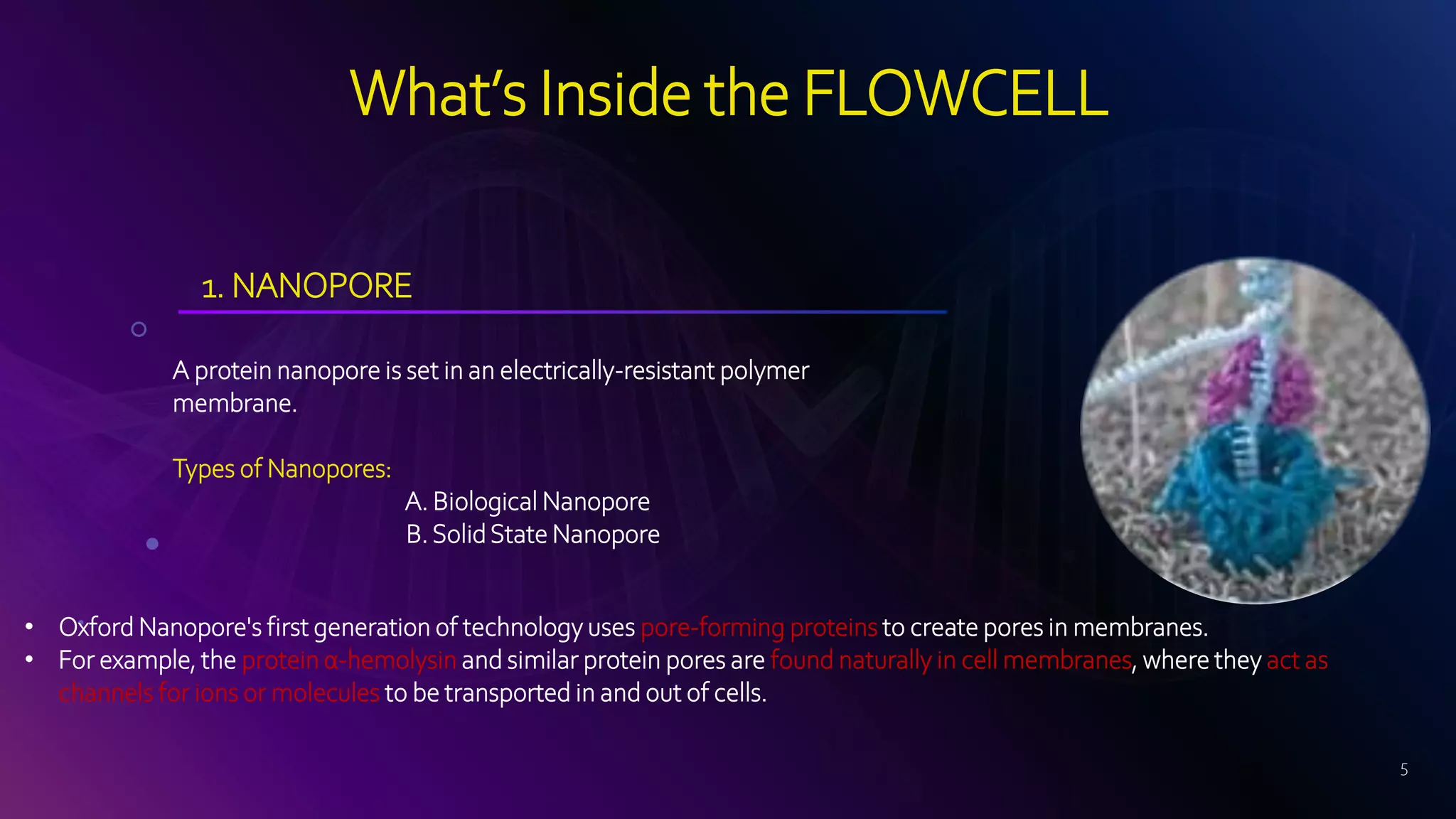 NANOPORE SEQUENCING | PPTX