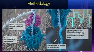 NANOPORE SEQUENCING | PPTX