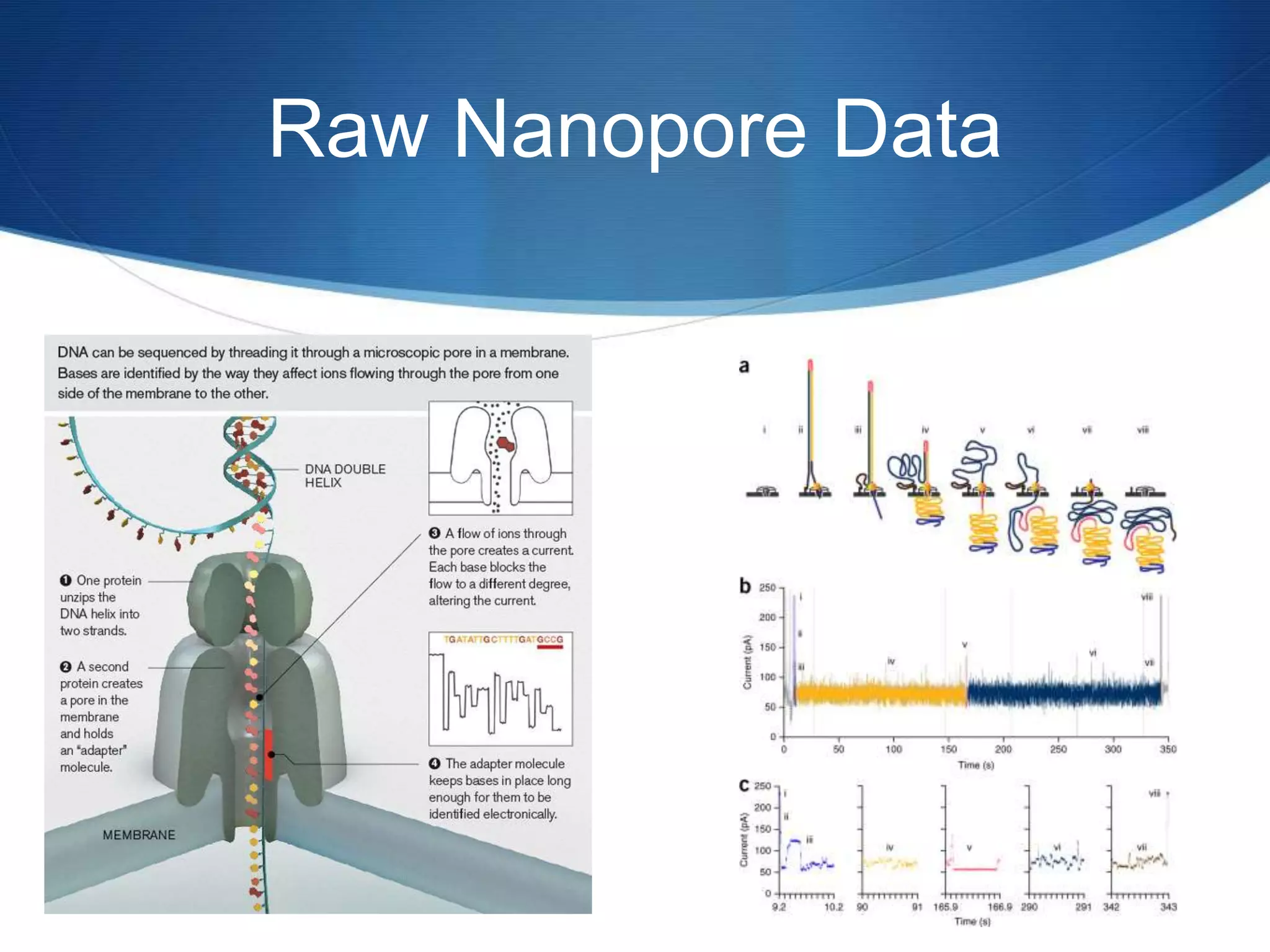 Raw Nanopore Data
 