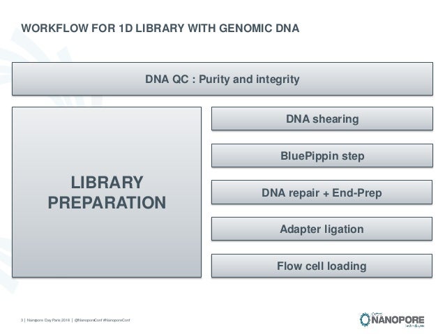 nanopore technology