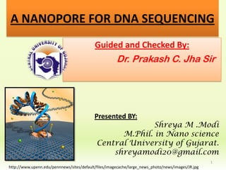 A NANOPORE FOR DNA SEQUENCING
                                           Guided and Checked By:
                                                      Dr. Prakash C. Jha Sir




                                           Presented BY:
                                                          Shreya M .Modi
                                                  M.Phil. in Nano science
                                            Central University of Gujarat.
                                                shreyamodi20@gmail.com
                                                                                                   1
http://www.upenn.edu/pennnews/sites/default/files/imagecache/large_news_photo/news/images/JR.jpg
 