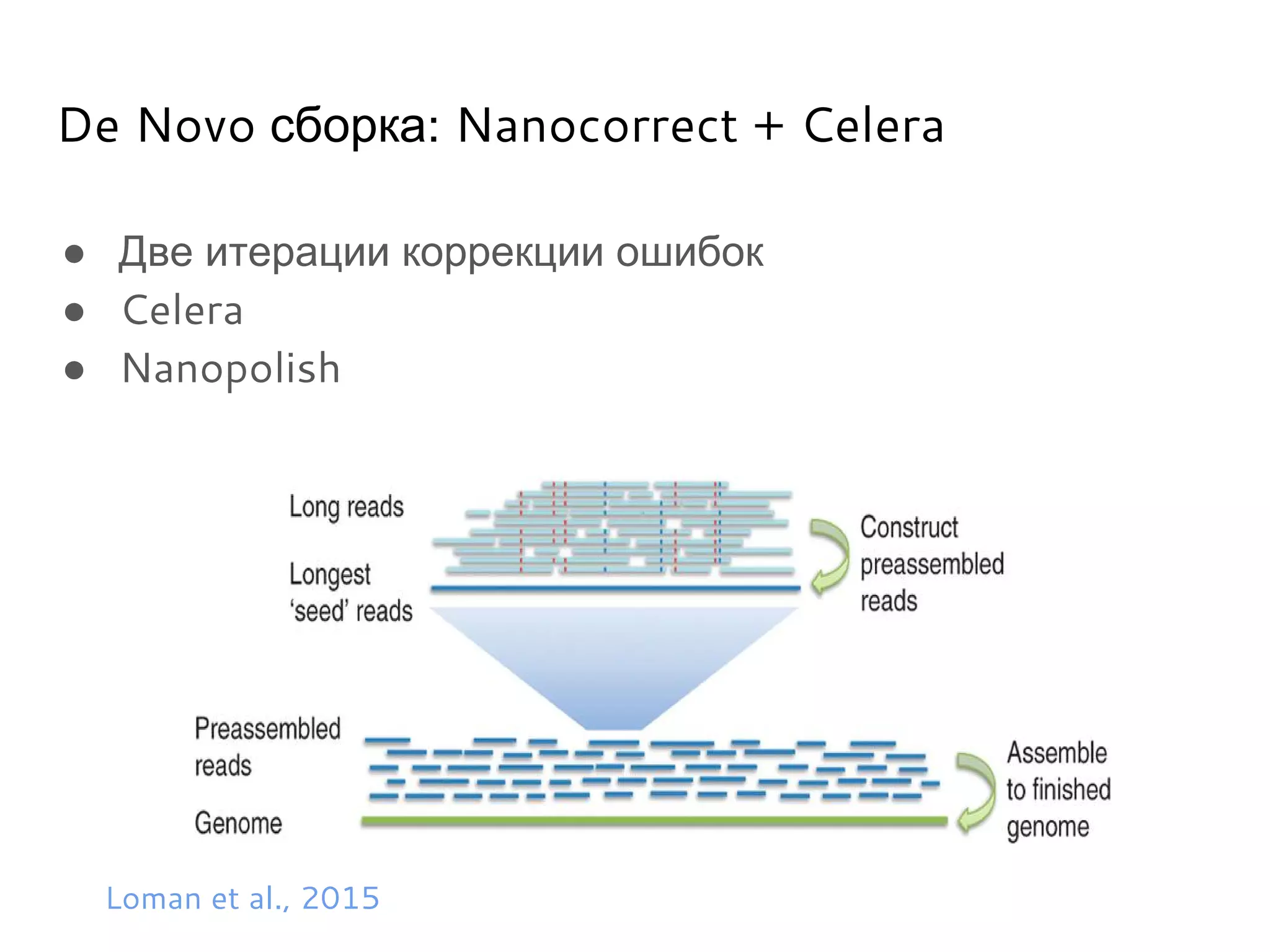 De Novo сборка: Nanocorrect + Celera
● Две итерации коррекции ошибок
● Celera
● Nanopolish
Loman et al., 2015
 