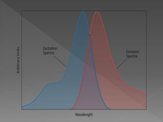 FLOURESCENCE SPECTROSCOPY