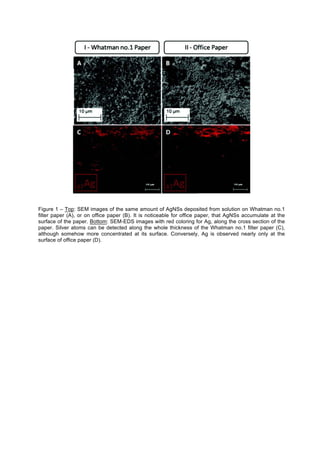 Figure 1 – Top: SEM images of the same amount of AgNSs deposited from solution on Whatman no.1
filter paper (A), or on office paper (B). It is noticeable for office paper, that AgNSs accumulate at the
surface of the paper. Bottom: SEM-EDS images with red coloring for Ag, along the cross section of the
paper. Silver atoms can be detected along the whole thickness of the Whatman no.1 filter paper (C),
although somehow more concentrated at its surface. Conversely, Ag is observed nearly only at the
surface of office paper (D).
 
