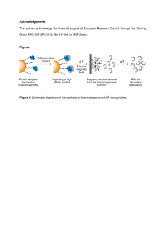Acknowledgements
The authors acknowledge the financial support of European Research Council through the Starting
Grant, ERC-StG-3P’s/2012, GA 311086 (to MGF Sales).
Figures
Figure 1: Schematic illustration of the synthesis of thermoresponsive MIP nanoparticles.
Protein template
anchored on
magnetic particles
Imprinting of high
affinity cavities
Magnetic template removal
from the thermoresponsive
polymer
MIPs for
biomedical
applications
ǻT
External
magnetic
field
Polymerization
mixture ǻT
 