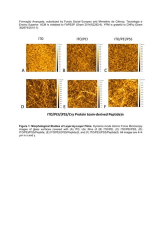 Formação Avançada, subsidized by Fundo Social Europeu and Ministério da Ciência, Tecnologia e
Ensino Superior. ACM is indebted to FAPESP (Grant 2014/02282-6). YPM is grateful to CNPq (Grant
302674/2010-1).
Figure 1: Morphological Studies of Layer-by-Layer Films. Dynamic-mode Atomic Force Microscopy
images of glass surfaces covered with (A) ITO, LbL films of (B) ITO/PEI, (C) ITO/PEI/PSS, (D)
ITO/PEI/PSS/Peptide, (E) ITO/PEI/(PSS/Peptide)2, and (F) ITO/PEI/(PSS/Peptide)5. All images are 4×4
µm in x and y.
ITO/PEI/(PSS/Cry Protein toxin-derived Peptide)n
ITO ITO/PEI ITO/PEI/PSS
BA C
ED F
 