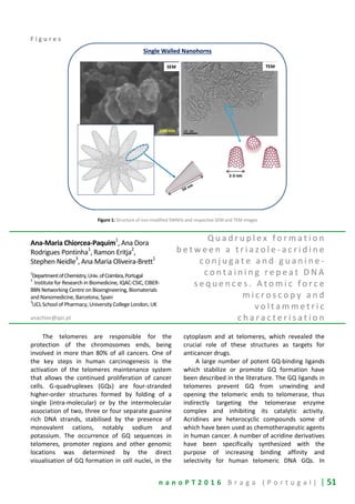 n a n o P T 2 0 1 6 B r a g a ( P o r t u g a l ) | 51
F i g u r e s
Figure 1: Structure of non-modified SWNHs and respective SEM and TEM images
Ana-Maria Chiorcea-Paquim
1
, Ana Dora
Rodrigues Pontinha
1
, Ramon Eritja2
,
Stephen Neidle
3
, Ana Maria Oliveira-Brett
1
1
DepartmentofChemistry,Univ.ofCoimbra,Portugal
2
Institute for Research in Biomedicine, IQAC-CSIC, CIBER-
BBN Networking Centre on Bioengineering, Biomaterials
and Nanomedicine, Barcelona, Spain
3
UCL School of Pharmacy, University College London, UK
anachior@ipn.pt
Q u a d r u p l e x f o r m a t i o n
b e t w e e n a t r i a z o l e - a c r i d i n e
c o n j u g a t e a n d g u a n i n e -
c o n t a i n i n g r e p e a t D N A
s e q u e n c e s . A t o m i c f o r c e
m i c r o s c o p y a n d
v o l t a m m e t r i c
c h a r a c t e r i s a t i o n
The telomeres are responsible for the
protection of the chromosomes ends, being
involved in more than 80% of all cancers. One of
the key steps in human carcinogenesis is the
activation of the telomeres maintenance system
that allows the continued proliferation of cancer
cells. G-quadruplexes (GQs) are four-stranded
higher-order structures formed by folding of a
single (intra-molecular) or by the intermolecular
association of two, three or four separate guanine
rich DNA strands, stabilised by the presence of
monovalent cations, notably sodium and
potassium. The occurrence of GQ sequences in
telomeres, promoter regions and other genomic
locations was determined by the direct
visualisation of GQ formation in cell nuclei, in the
cytoplasm and at telomeres, which revealed the
crucial role of these structures as targets for
anticancer drugs.
A large number of potent GQ-binding ligands
which stabilize or promote GQ formation have
been described in the literature. The GQ ligands in
telomeres prevent GQ from unwinding and
opening the telomeric ends to telomerase, thus
indirectly targeting the telomerase enzyme
complex and inhibiting its catalytic activity.
Acridines are heterocyclic compounds some of
which have been used as chemotherapeutic agents
in human cancer. A number of acridine derivatives
have been specifically synthesized with the
purpose of increasing binding affinity and
selectivity for human telomeric DNA GQs. In
 