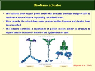 Nano - Robotics - The future world | PPT