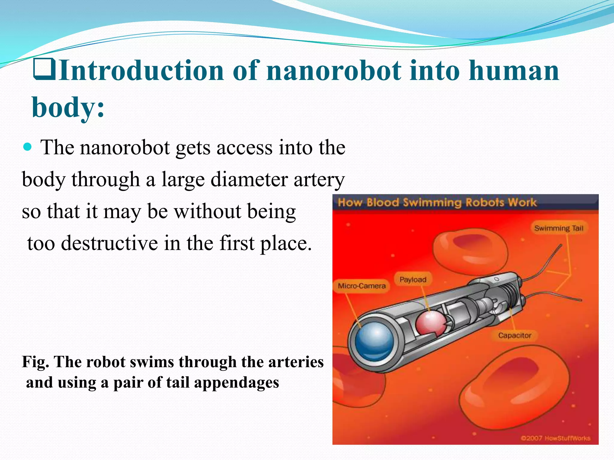 Introduction of nanorobot into human
body:
 The nanorobot gets access into the

body through a large diameter artery
so that it may be without being
too destructive in the first place.

Fig. The robot swims through the arteries
and using a pair of tail appendages

 
