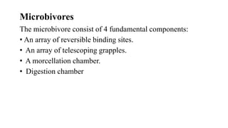 The microbivore consist of 4 fundamental components:
• An array of reversible binding sites.
• An array of telescoping grapples.
• A morcellation chamber.
• Digestion chamber
Microbivores
 