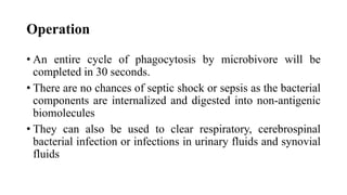 Operation
• An entire cycle of phagocytosis by microbivore will be
completed in 30 seconds.
• There are no chances of septic shock or sepsis as the bacterial
components are internalized and digested into non-antigenic
biomolecules
• They can also be used to clear respiratory, cerebrospinal
bacterial infection or infections in urinary fluids and synovial
fluids
 