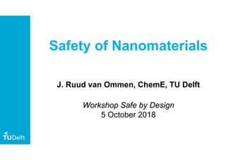 Safety of Nanomaterials
J. Ruud van Ommen, ChemE, TU Delft
Workshop Safe by Design
5 October 2018
 