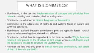 Biomimetics Nanoscience and technology ppt | PPT
