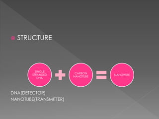  STRUCTURE
DNA(DETECTOR)
NANOTUBE(TRANSMITTER)
SINGLE
STRANDED
DNA
CARBON
NANOTUBE
NANOWIRE
 