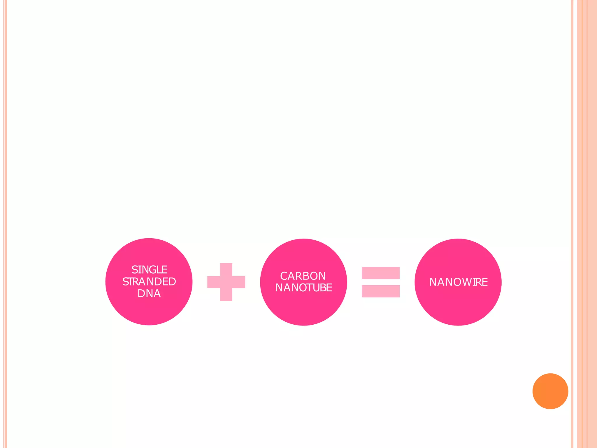 DNA(DETECTOR)
NANOTUBE(TRANSMITTER)
SINGLE
STRANDED
DNA
CARBON
NANOTUBE
NANOWIRE
 