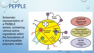 PEPPLE
Schematic
representation of
a PEBBLE
sensor, containing
various active
ingredients within
the boundaries of
a biocompatible
polymeric matrix
 