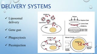  Liposomal
delivery
 Gene gun
 Phagocytosis
 Picoinjection
DELIVERY SYSTEMS
 