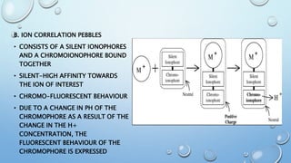 B. ION CORRELATION PEBBLES
• CONSISTS OF A SILENT IONOPHORES
AND A CHROMOIONOPHORE BOUND
TOGETHER
• SILENT-HIGH AFFINITY TOWARDS
THE ION OF INTEREST
• CHROMO-FLUORESCENT BEHAVIOUR
• DUE TO A CHANGE IN PH OF THE
CHROMOPHORE AS A RESULT OF THE
CHANGE IN THE H+
CONCENTRATION, THE
FLUORESCENT BEHAVIOUR OF THE
CHROMOPHORE IS EXPRESSED
 