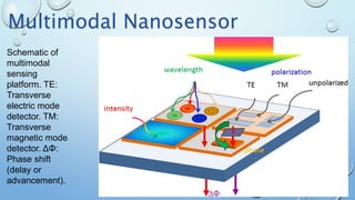 Multimodal Nanosensor
Schematic of
multimodal
sensing
platform. TE:
Transverse
electric mode
detector. TM:
Transverse
magnetic mode
detector. ΔΦ:
Phase shift
(delay or
advancement).
 